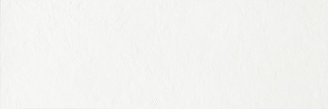 Керамическая плитка Evolution white EVO2510C (25x75)