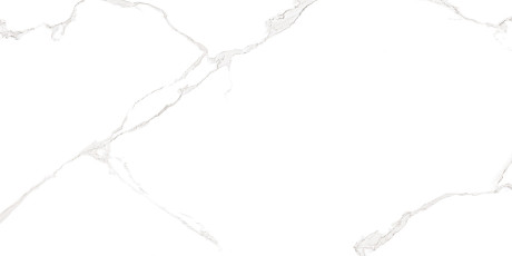 Плитка настенная Elemento Bianco Carrara (25x50) WT9ELT00