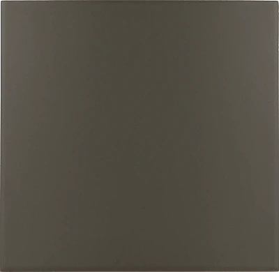 Керамогранит Rivoli Black 20x20x0,83