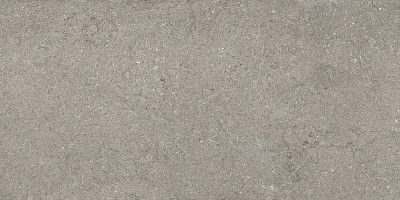 Керамогранит Дискавер грэй рет 610010002728 (60x120)