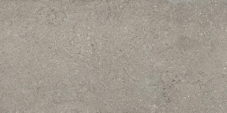 Керамогранит Дискавер грэй рет 610010002728 (60x120)