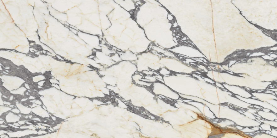 Керамогранит Epoque 21 Arabescato Ant PF60009341 (60x120) PF60009341