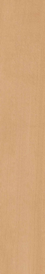 Керамогранит CW04 (19,4x120x10) непол. рект. CW 04 CW 04