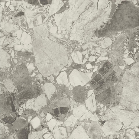 Керамогранит Forte Dei Marmi Ceppo Ap. Pearl Lapp (80x80) 610015000653