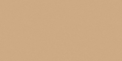 Керамогранит RW15непол. рект. (60x120)