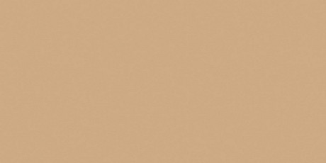 Керамогранит RW15непол. рект. (60x120)