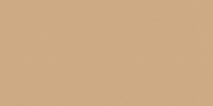 Керамогранит RW15непол. рект. (60x120) RW 15