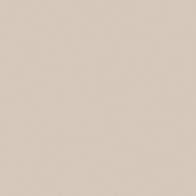 Керамогранит RW01 непол. рект. (60x60)