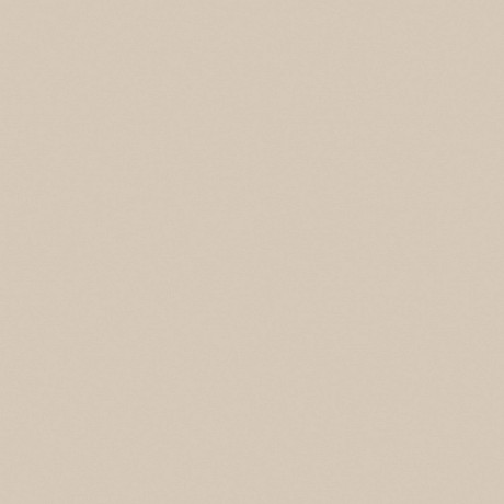 Керамогранит RW01 непол. рект. (60x60)