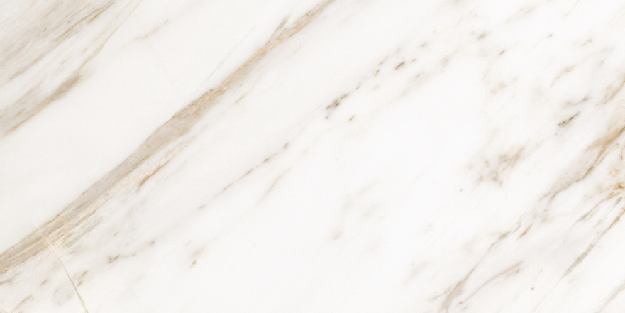 Керамогранит CALACATTA GOLD matt 1 сорт (60x120)