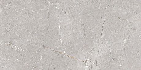 Керамогранит Larice Grey 60*120