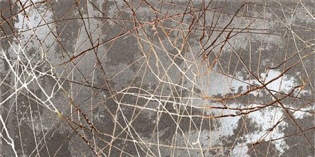 Декор Bright Bronze (60x120) BRAB12