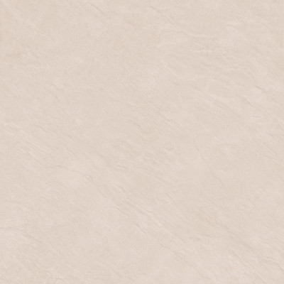 Керамогранит Evolution GFU04EVL50R (60x60)