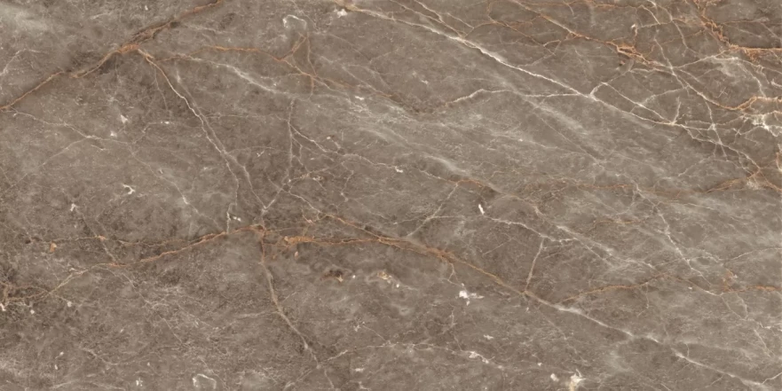 Istanbul Sepia Glossy 120x60 RP-160240