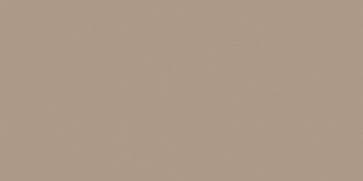 Керамогранит RW041непол. рект. (60x120)