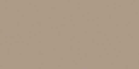 Керамогранит RW041непол. рект. (60x120)