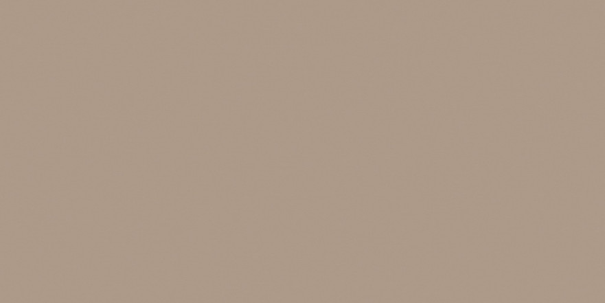 Керамогранит RW041непол. рект. (60x120) RW 041