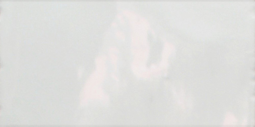 Керамическая плитка PLUS WHITE ZINC (7.5x15) CV62748 CV62748