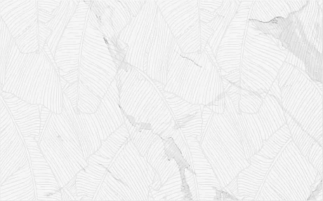 Керамическая плитка Lace белый (25х40) 00-00-5-09-00-01-2626 1