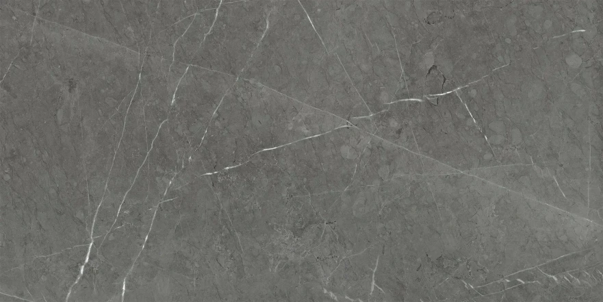 Керамогранит Skala Dark Grey Matt. (60x120) K-2203/MR/600x1200 K-2203/MR/600x1200